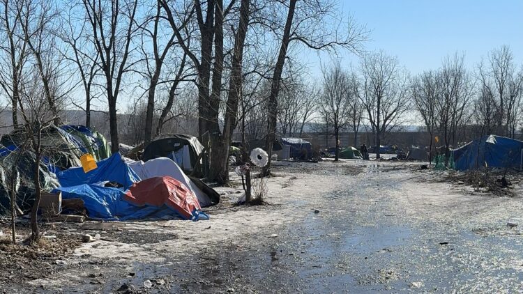 Wagons to Bring Resources to the Homeless image